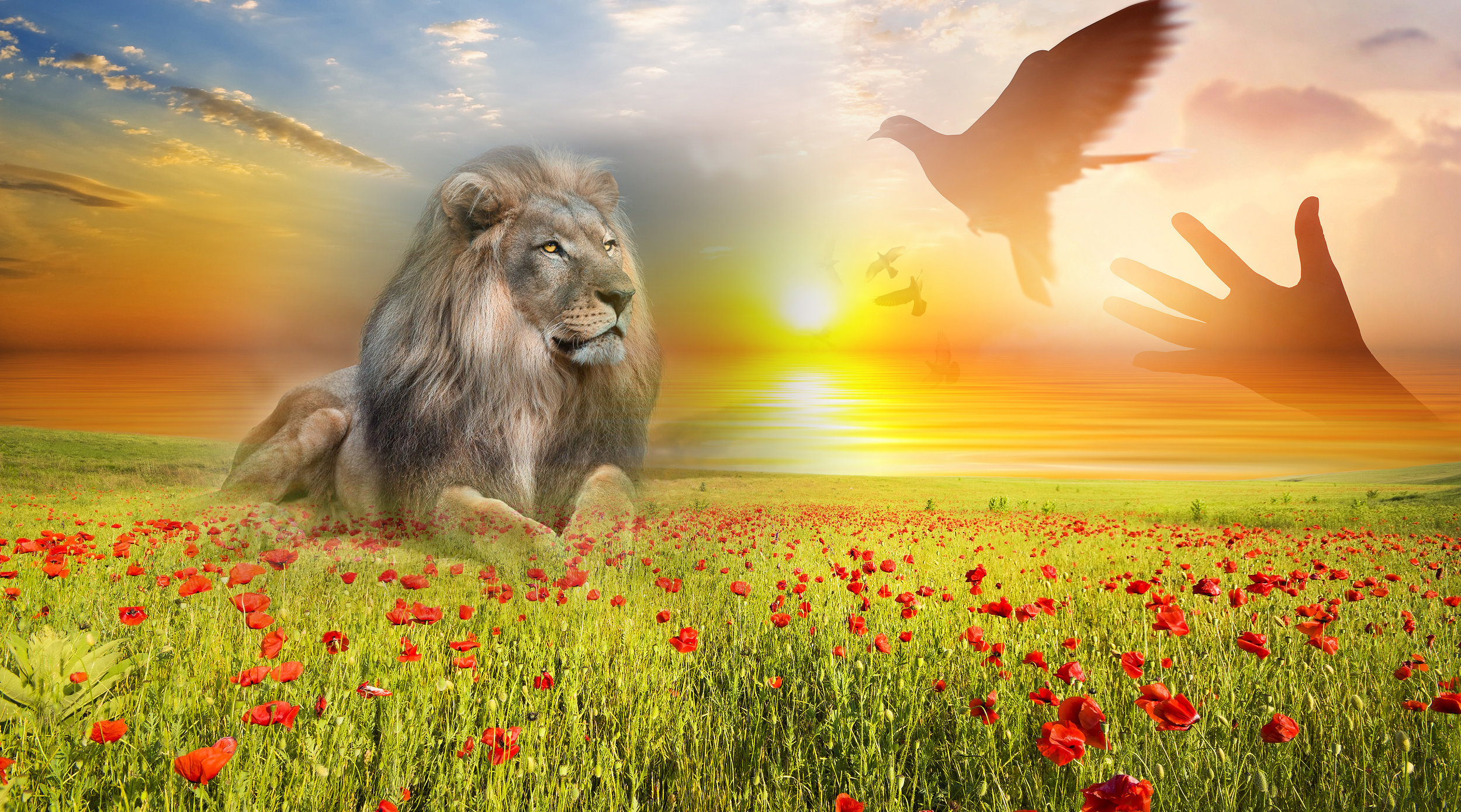 Daily Awakenings Daily Biblical teachings to help you become holy before our Savior Read More