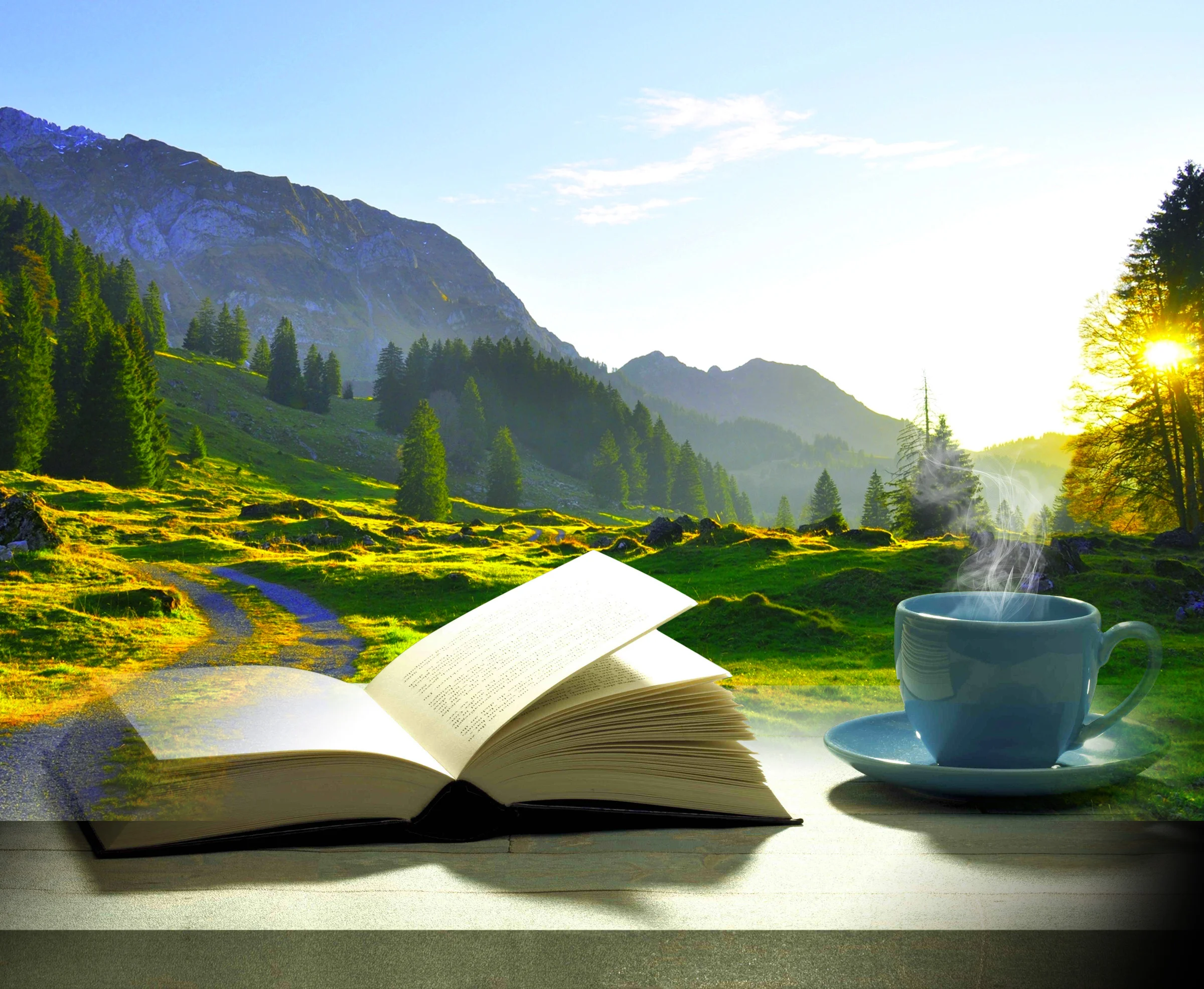 100 Day Devotional Banner.jpg