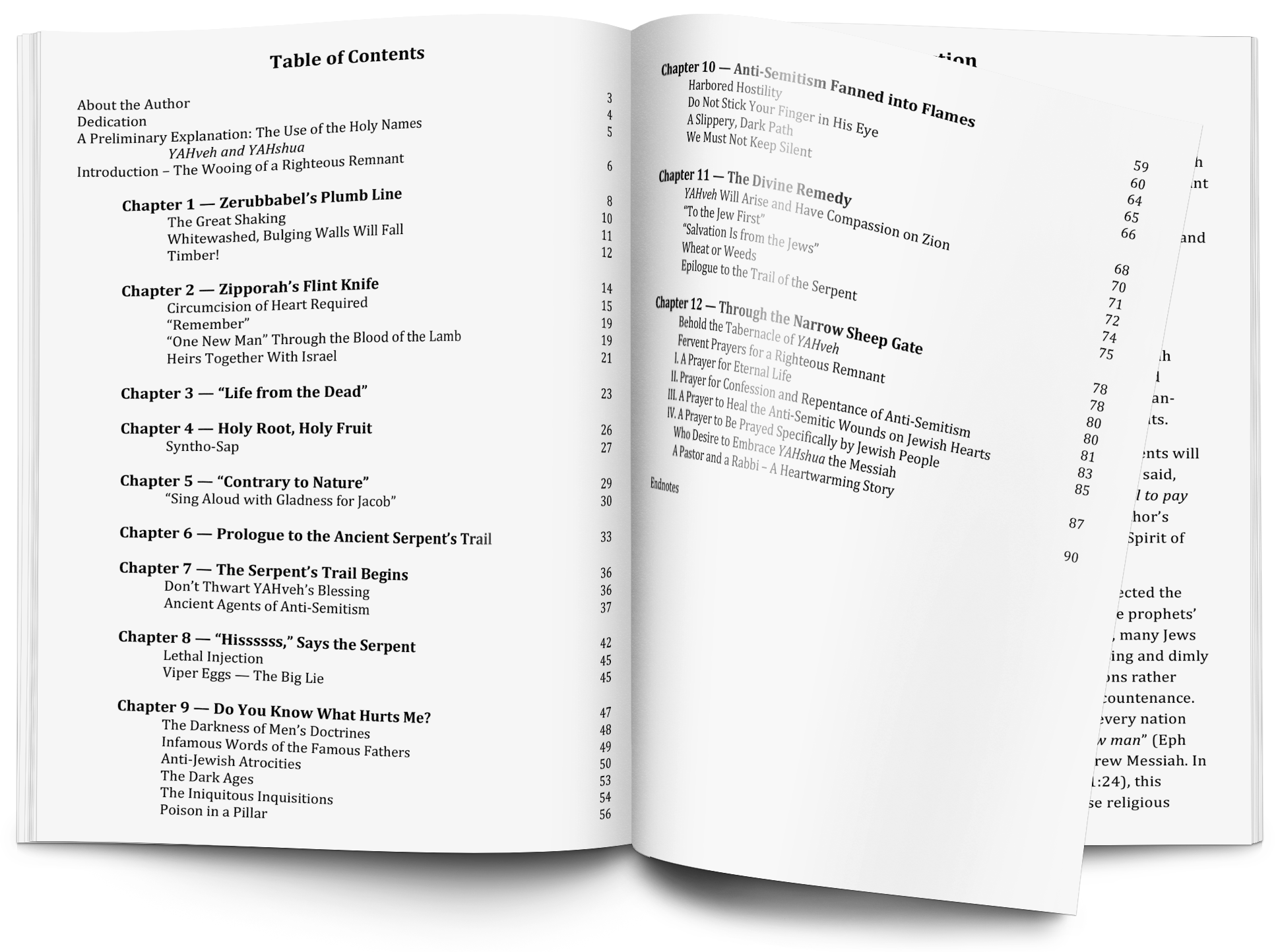 Table of Contents + Click to Enlarge