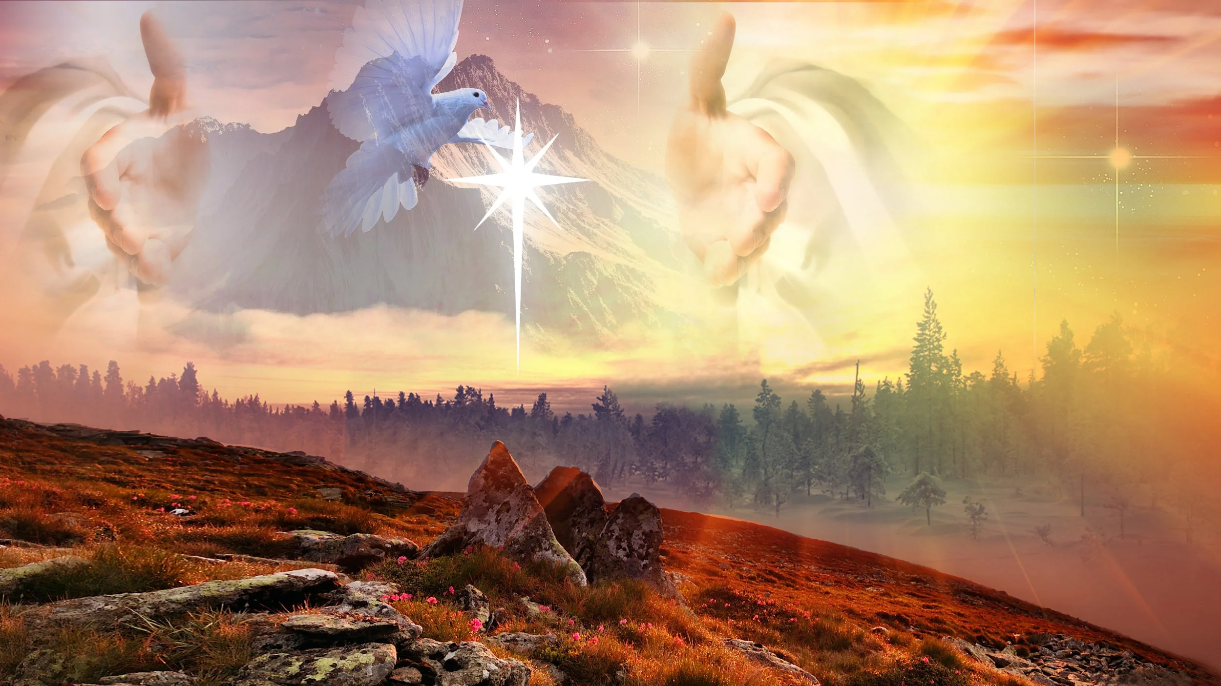 Morning Star Banner - It's Midnight Ministries.jpg