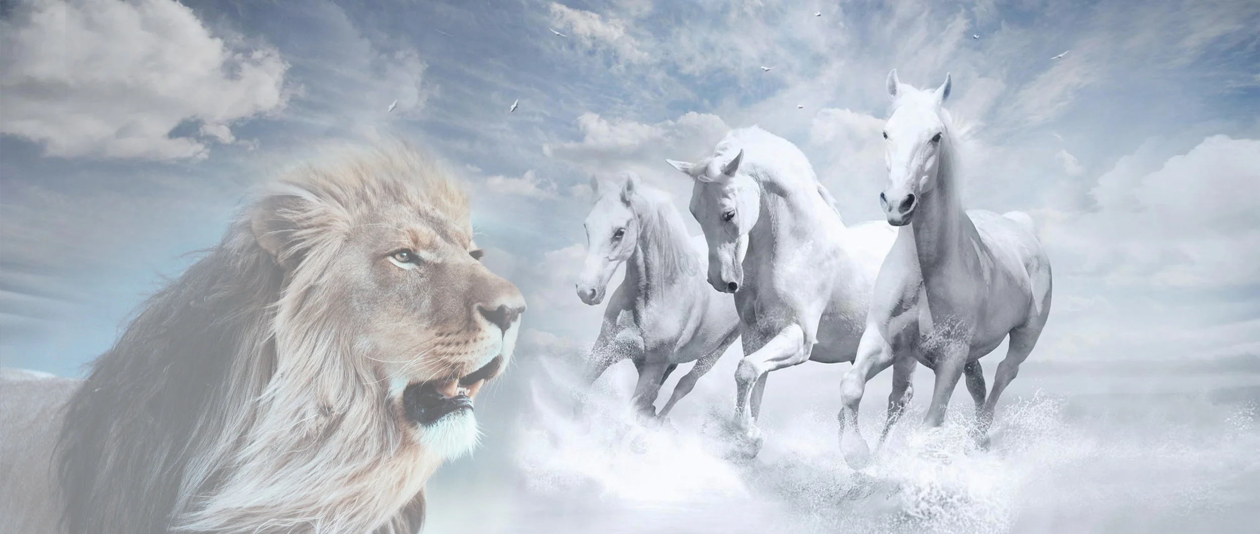 Run with the Wind.jpg