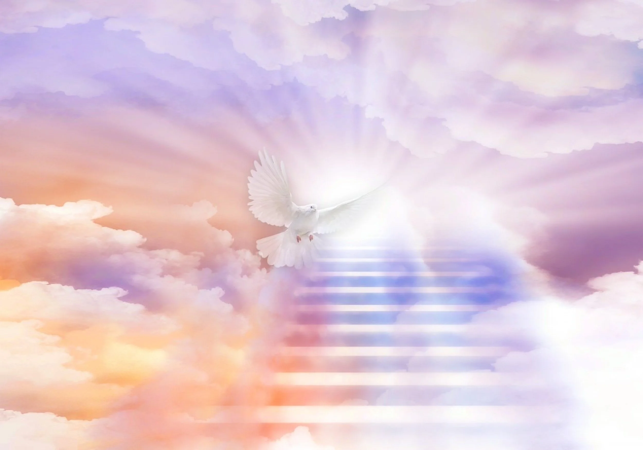 Redeemed To Be Children of Light