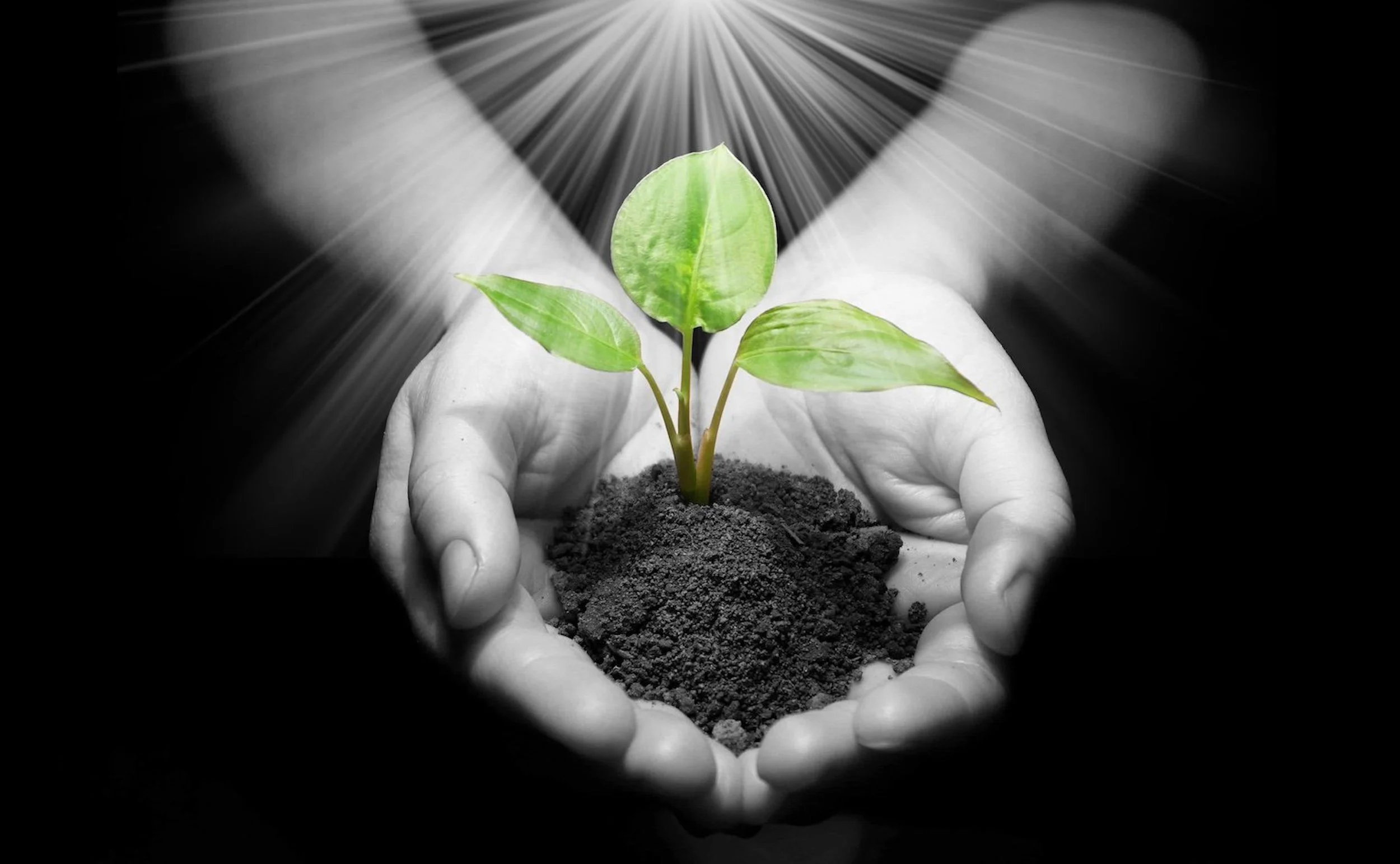 Freely We Have Received And Freely We Must Give