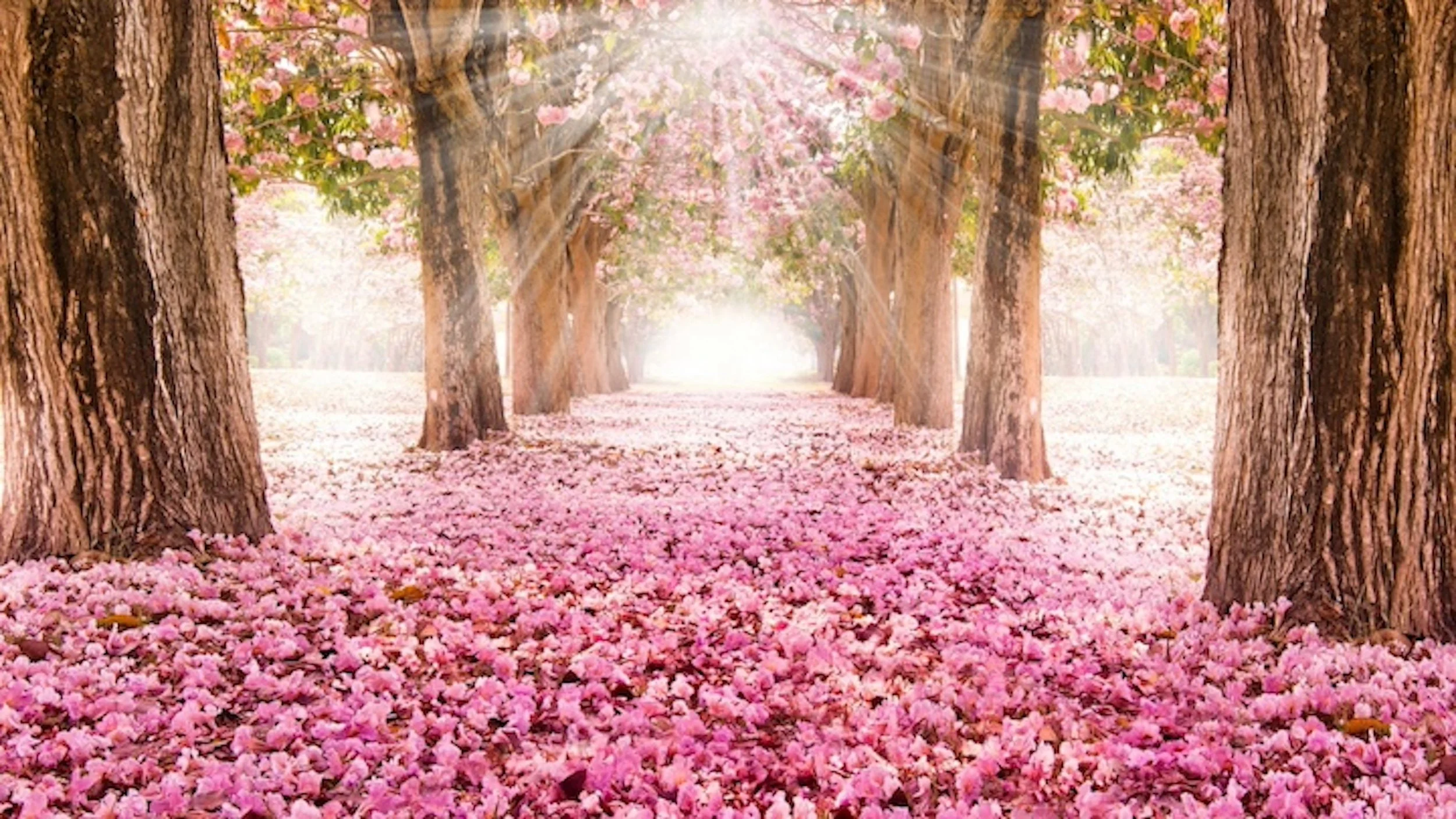 Work For What Endures And Not For What Perishes