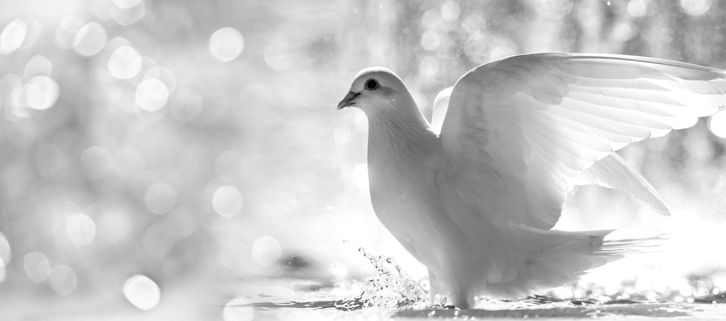 Don't Insult The Spirit Of Grace