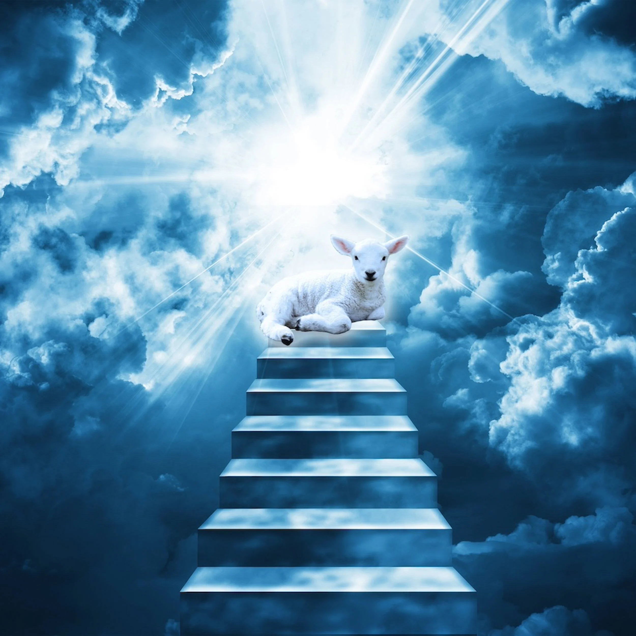 Through Hardships And Trials We Enter Heaven