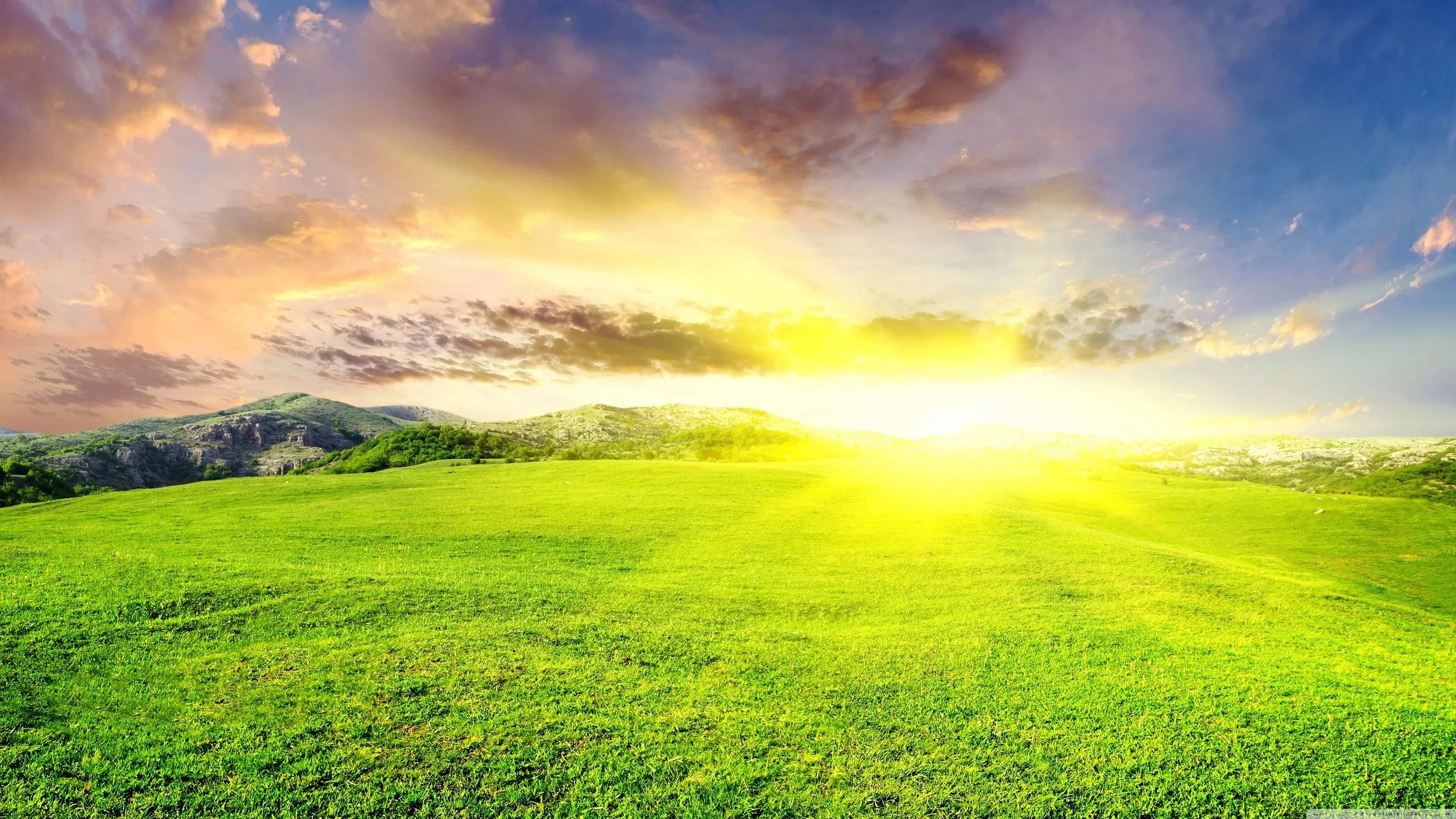 Chapter 6: Obedience Is The Greatest Sacrifice