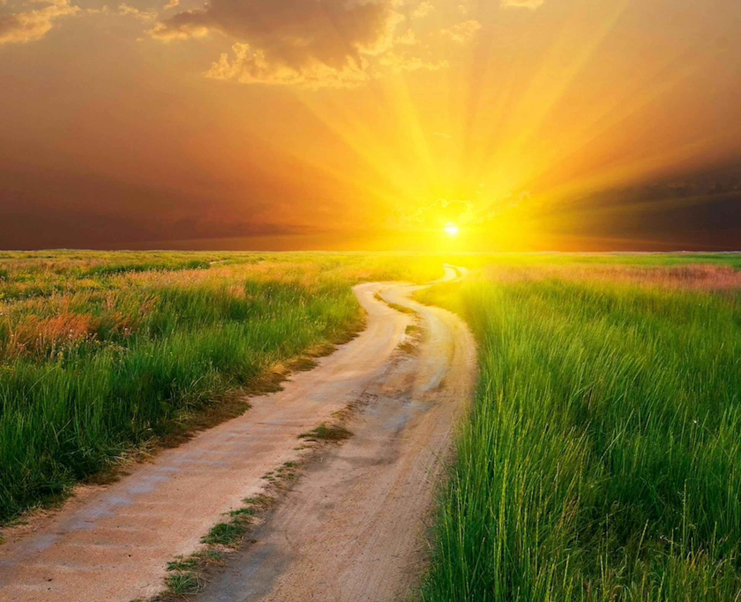 The Hour Is Late - Which Path Are You On?