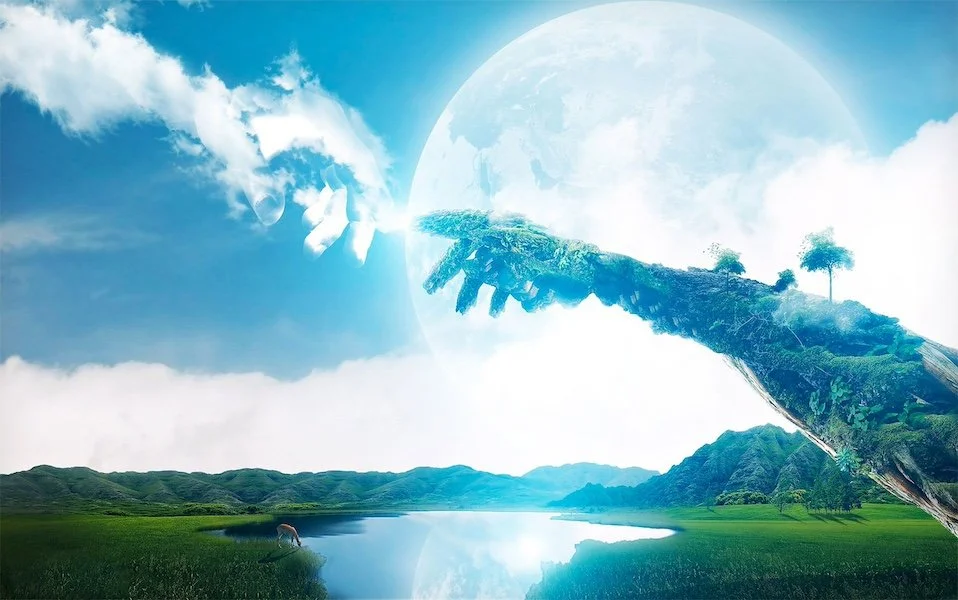 The Addiction To Dissipation