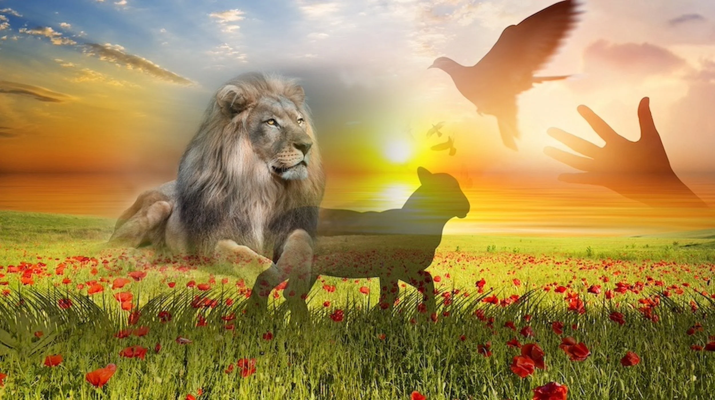 Hear The Heart And Promises Of Yahveh
