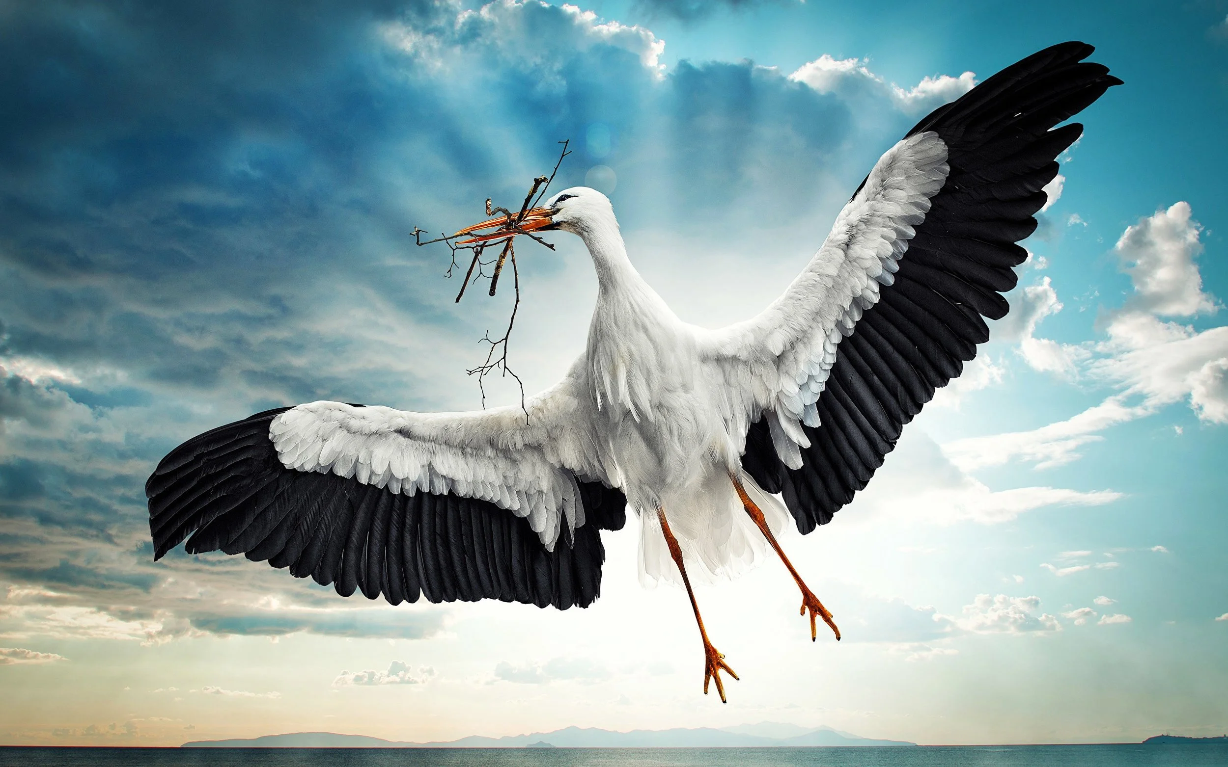 Even The Stork In The Sky Knows Her Seasons