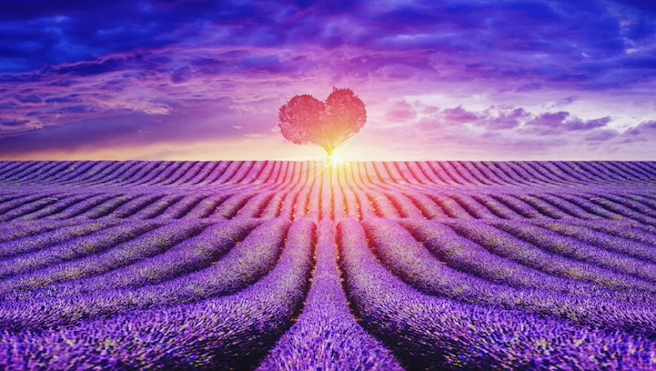 Create In Me A Clean Heart