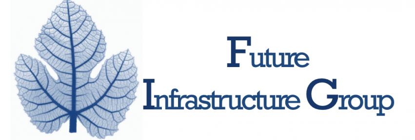 Future Infrastructure Group