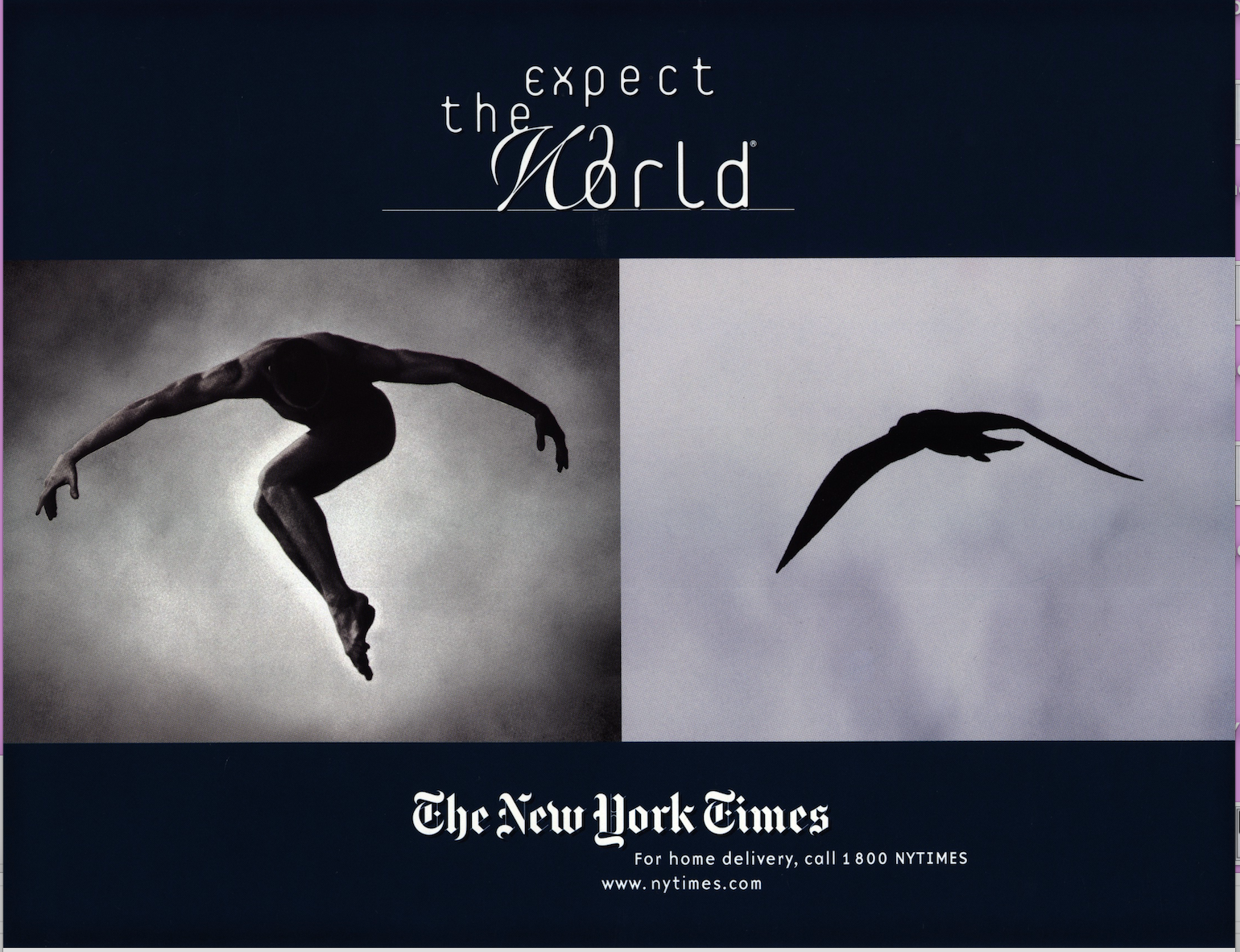 NYTIMES Bird.png