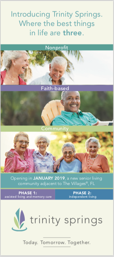 TS brochure.png