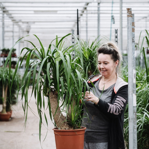 DH web_werkenbij.2.png