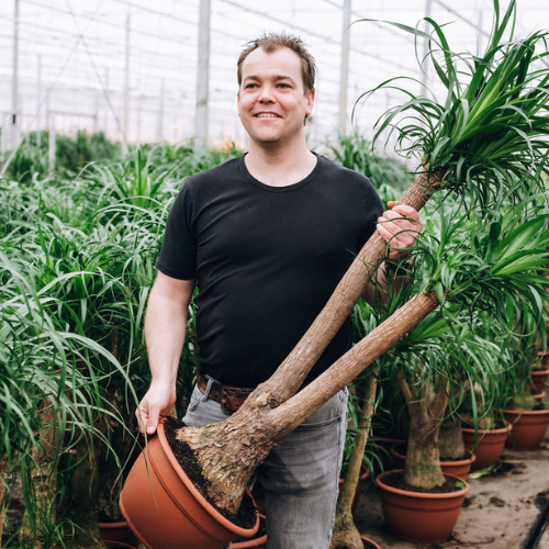 DH web_werkenbij.1.png