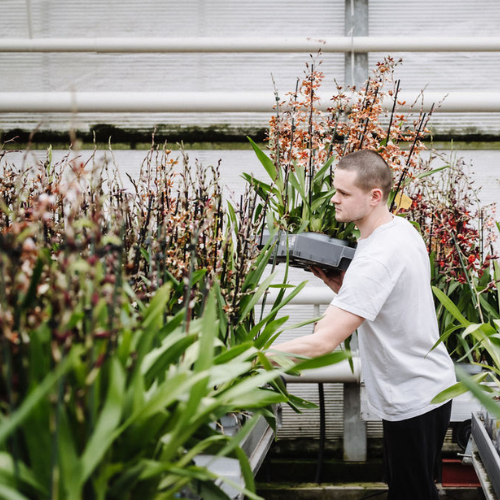 DH web_werkenbij.4.png