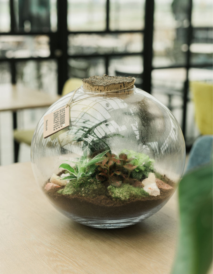 DH web 700x900px-home-2.png