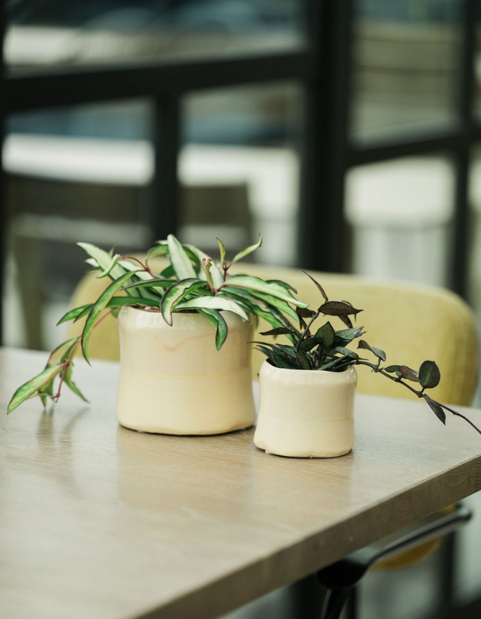 DH web 700x900px-home-3.png