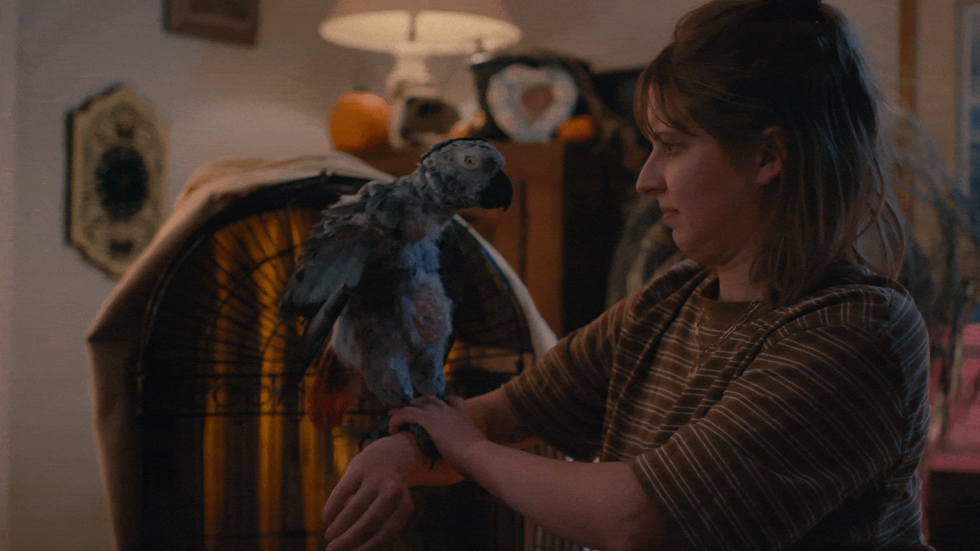 SHORT FILM | Bird Hostage