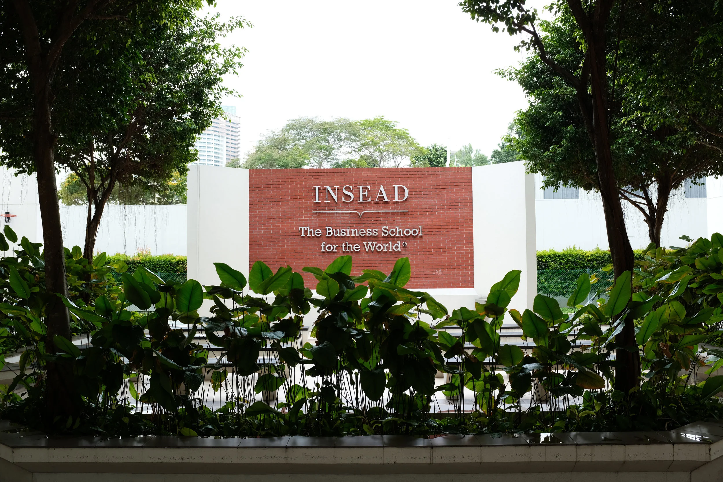 INSEAD 1.jpg