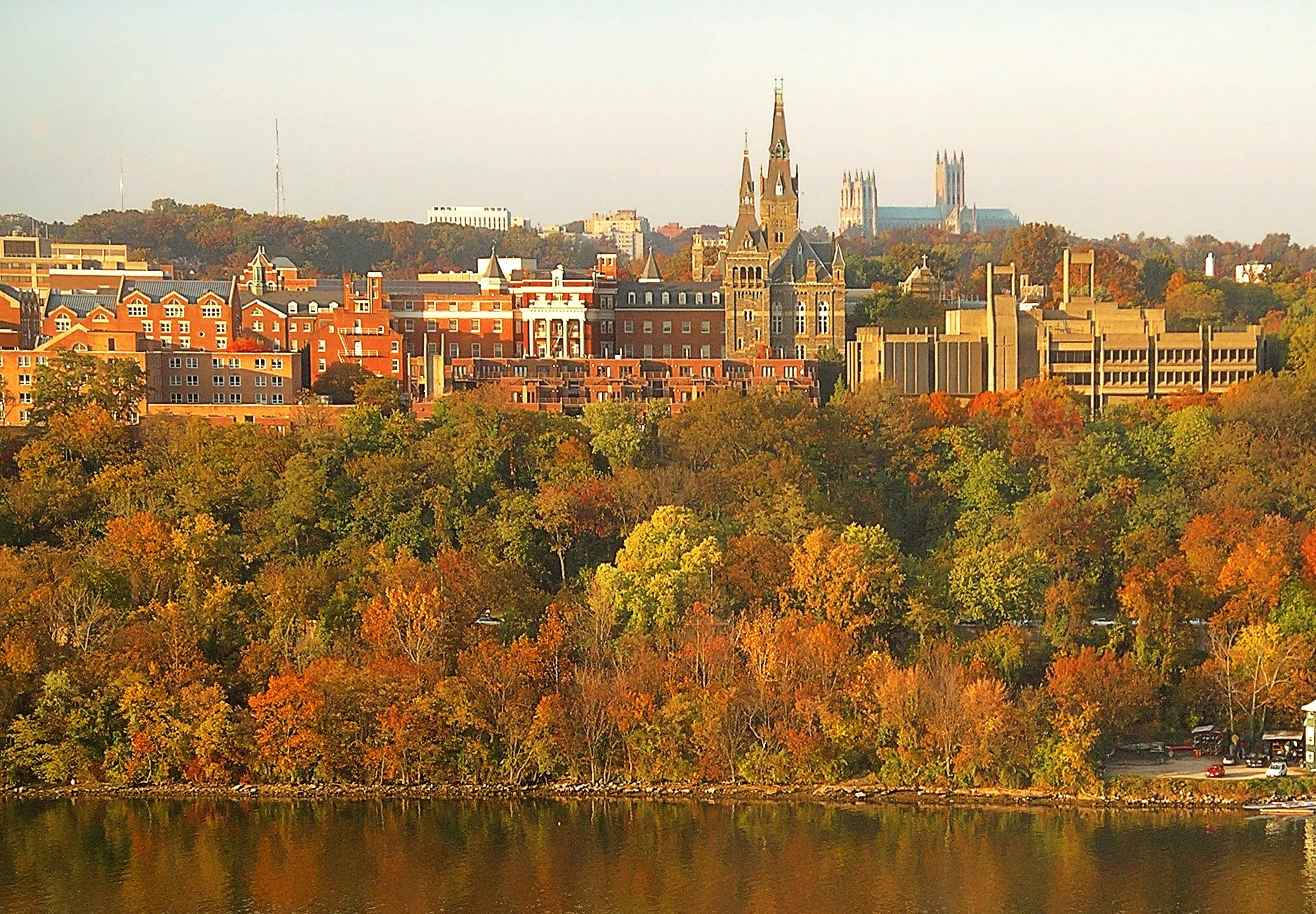 Georgetown McDonough.jpg