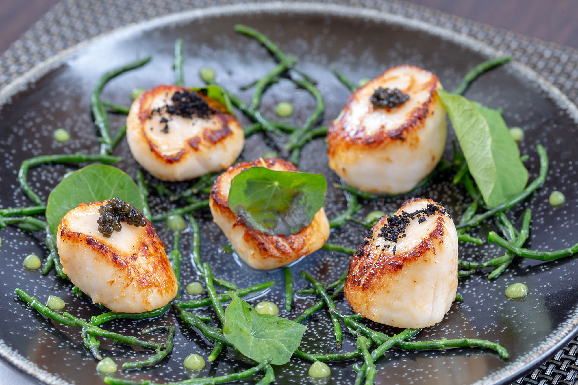 surf and turf 1.jpg