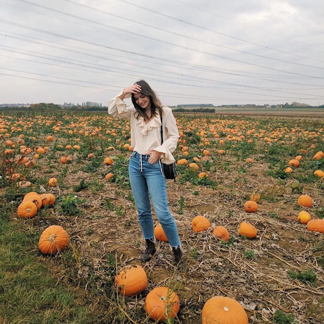 The best pumpkin patches to visit in Scotland