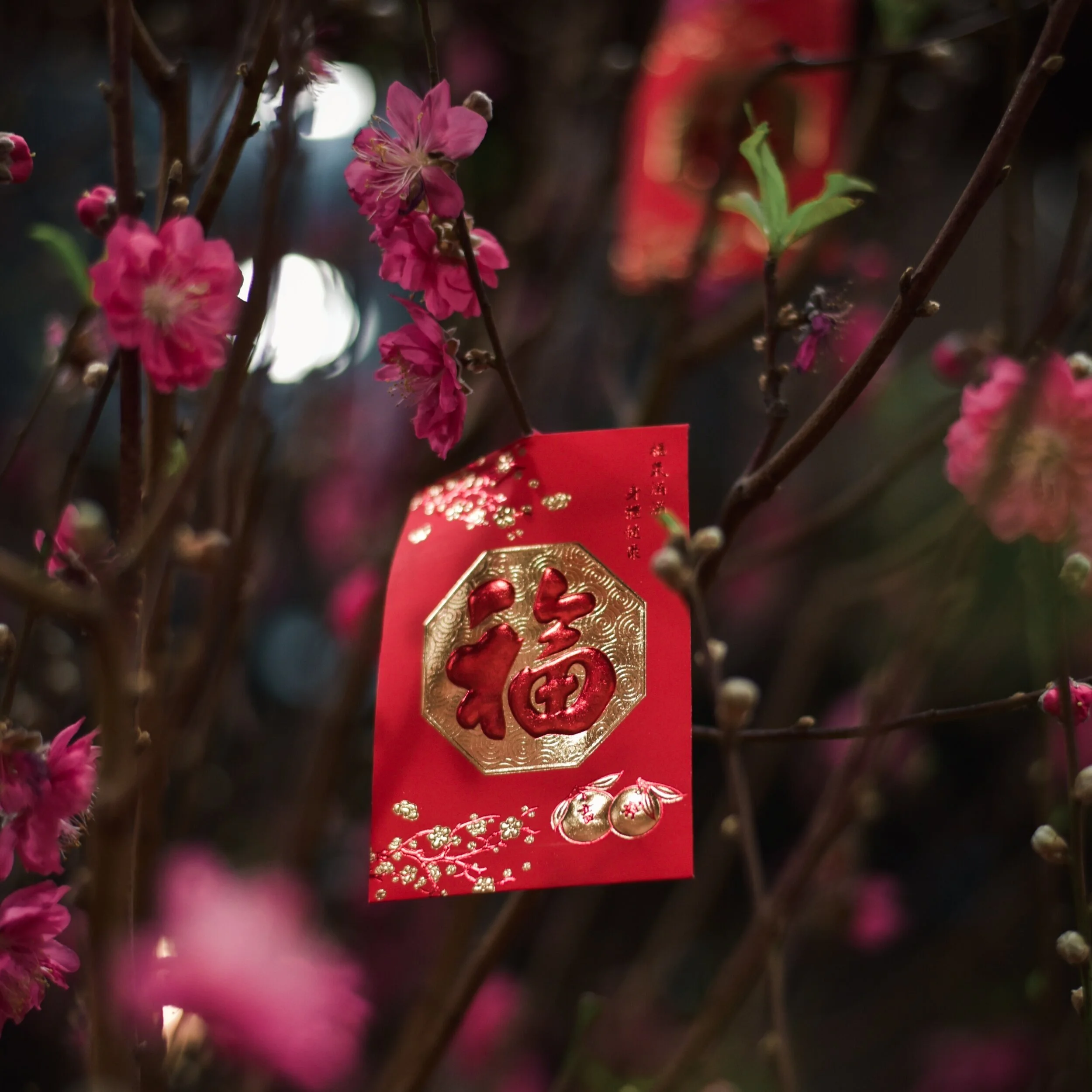 How to celebrate the Lunar New Year in delicious style