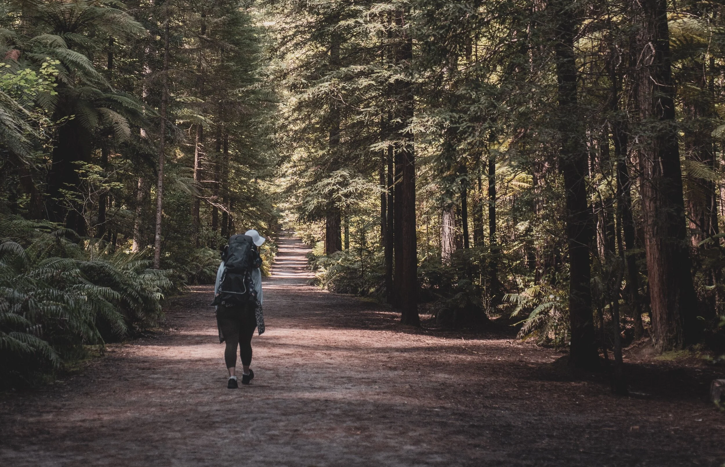 Hood hikes: Our favourite walking trails around Scotland