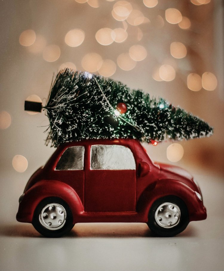 Relove, Rewild Christmas with the Leith Collective