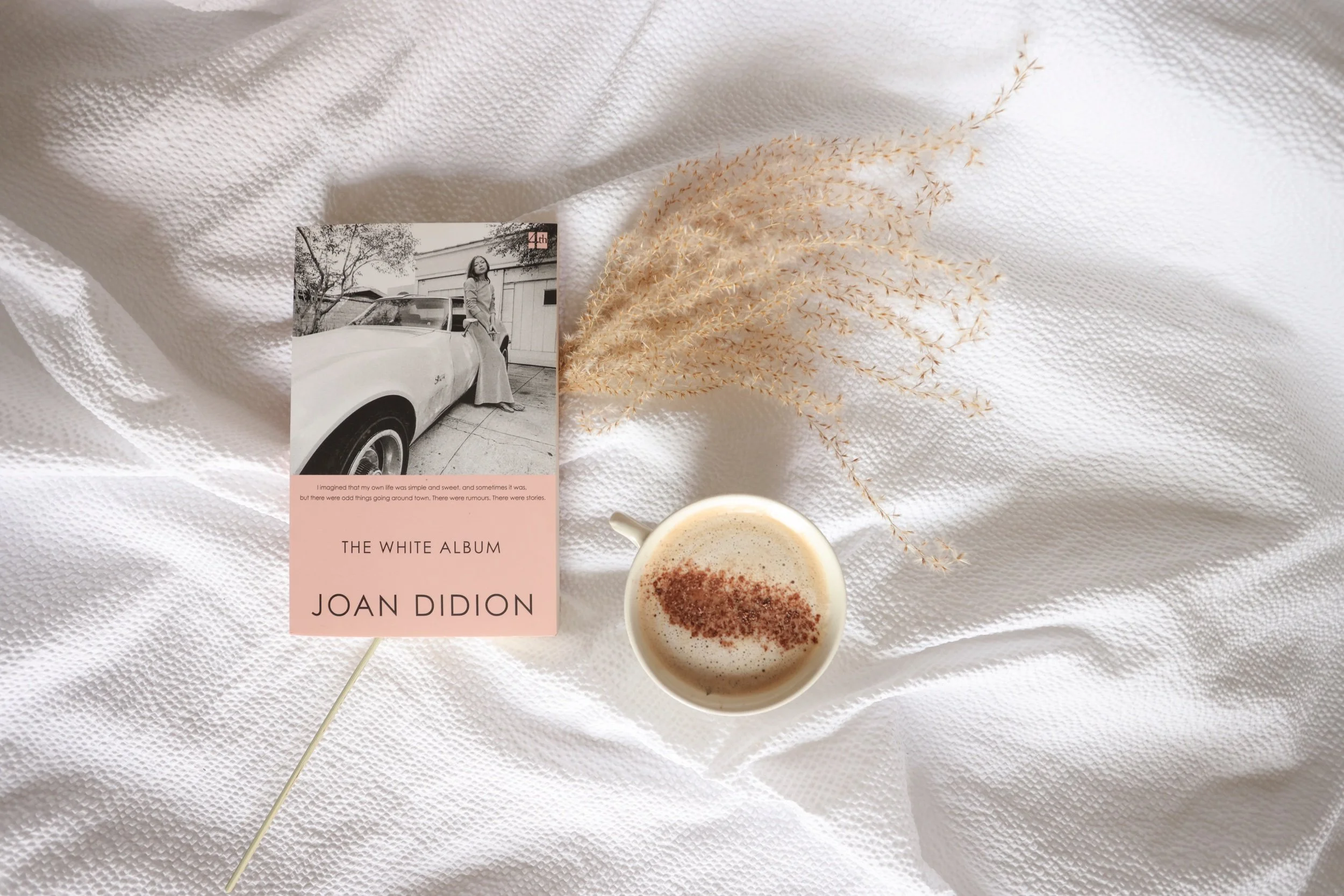 Downtime Special: Joan Didion