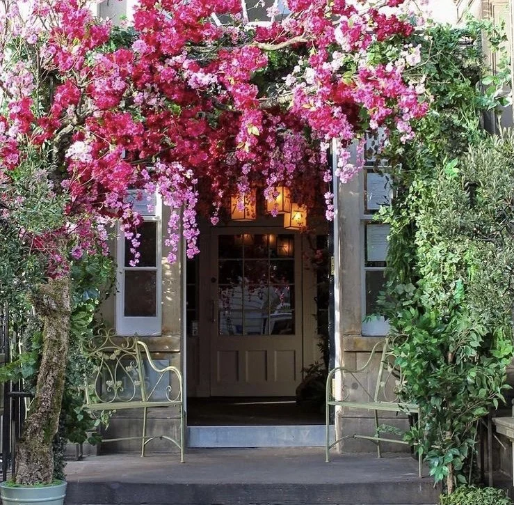 Spring has Sprung at Tigerlily