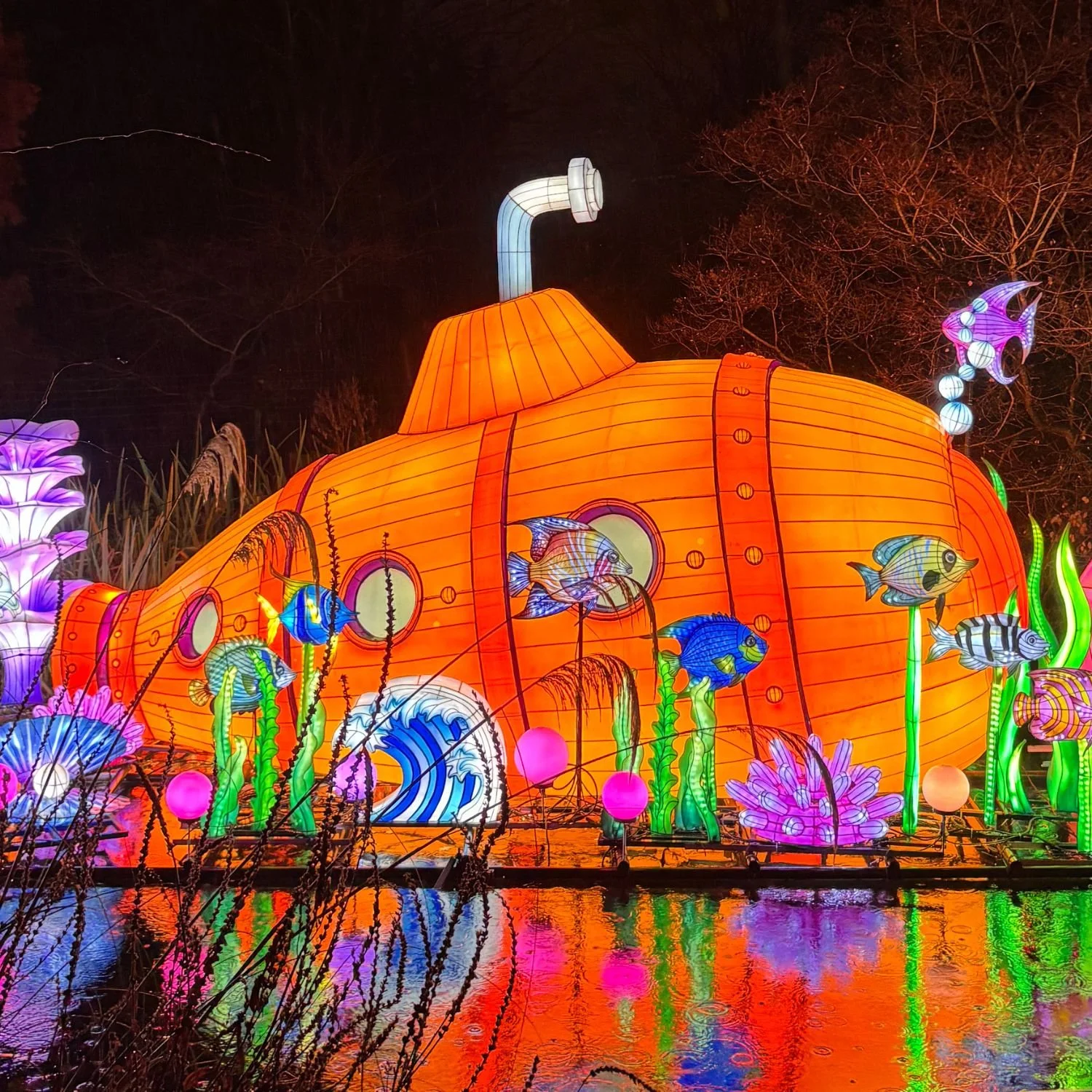 edinburgh-zoo-lanterns-2025 (2).jpg