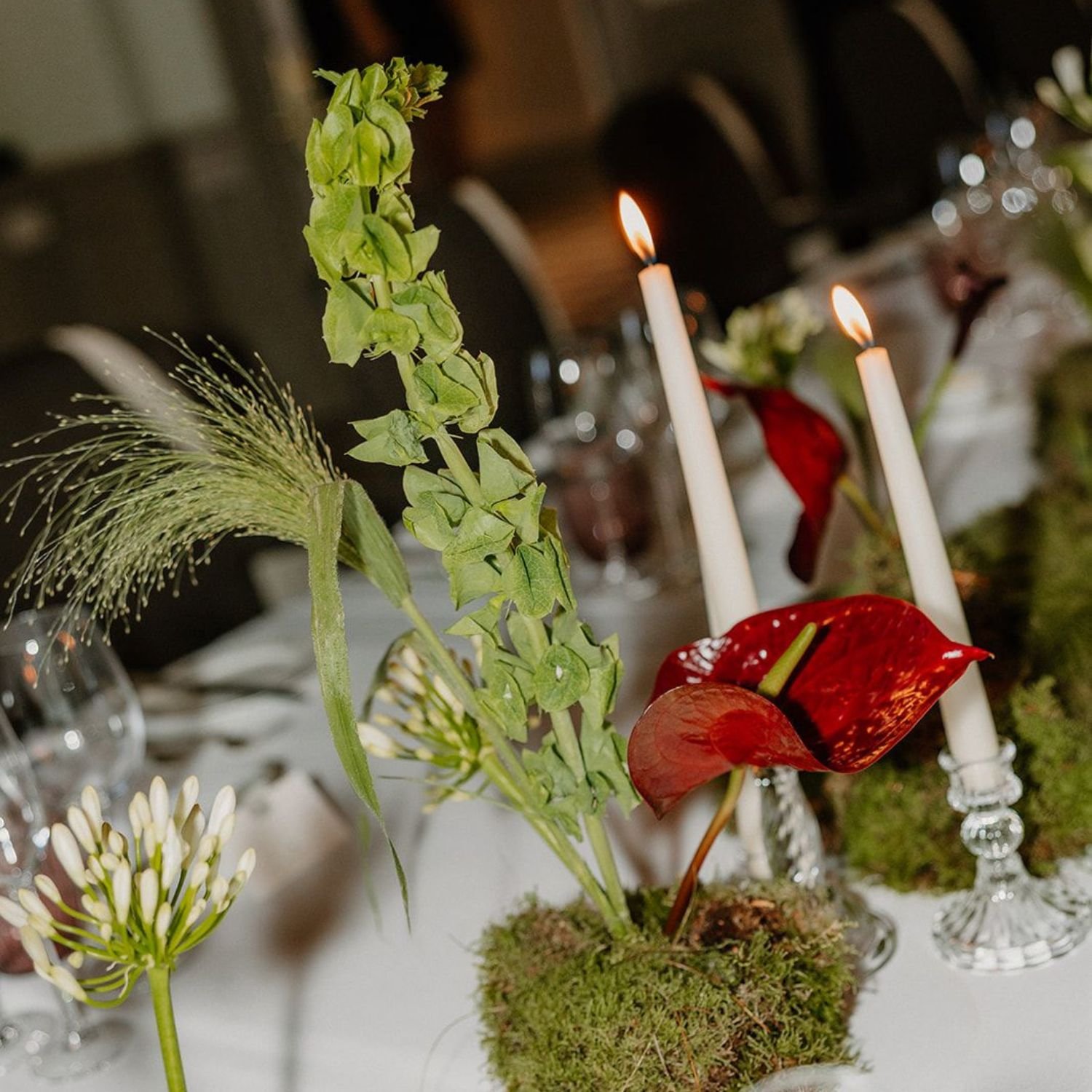 November Newsletter.jpg