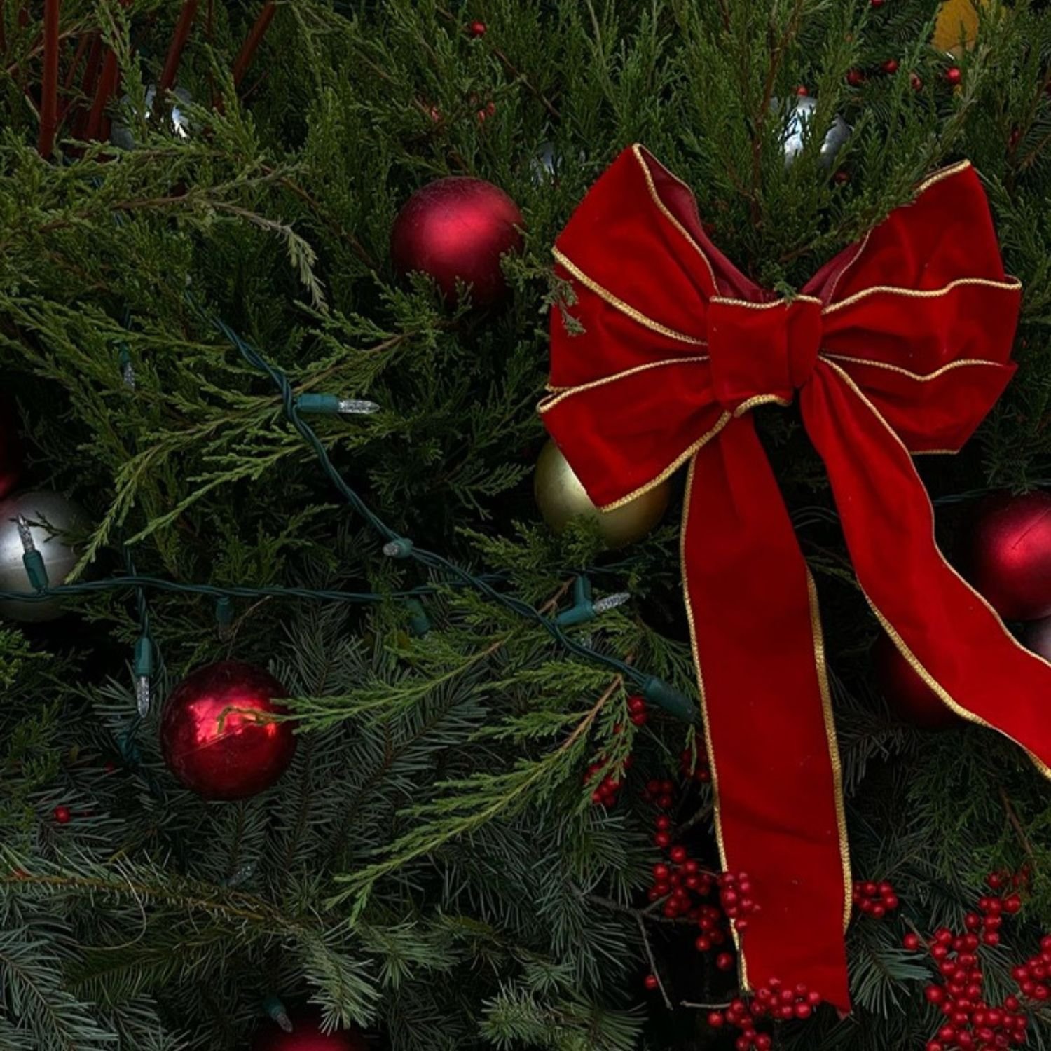 A Grand Entrance: How to Make the Perfect Christmas Wreath