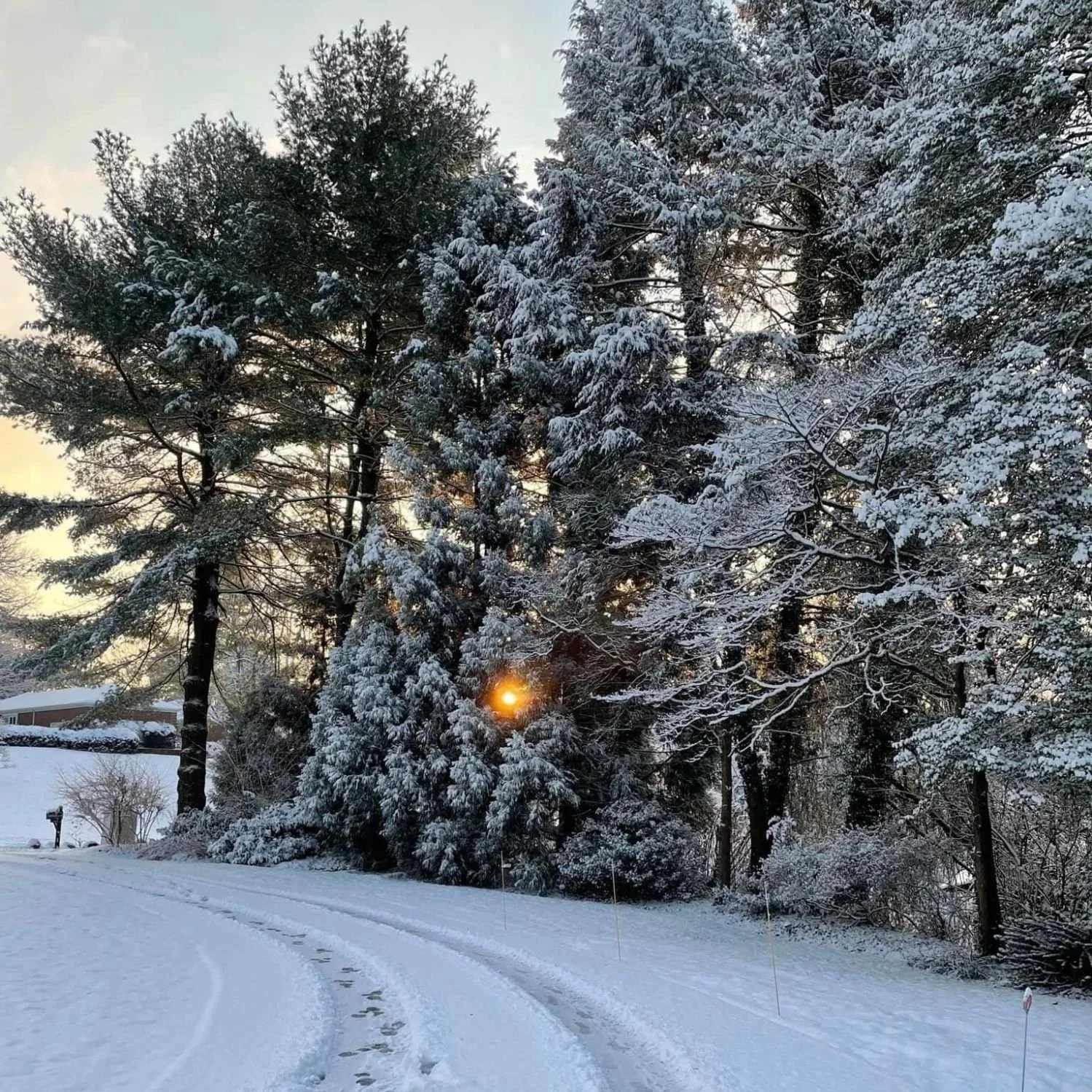 Winter Grit: Discover Sisu - The Finish Art of Courage