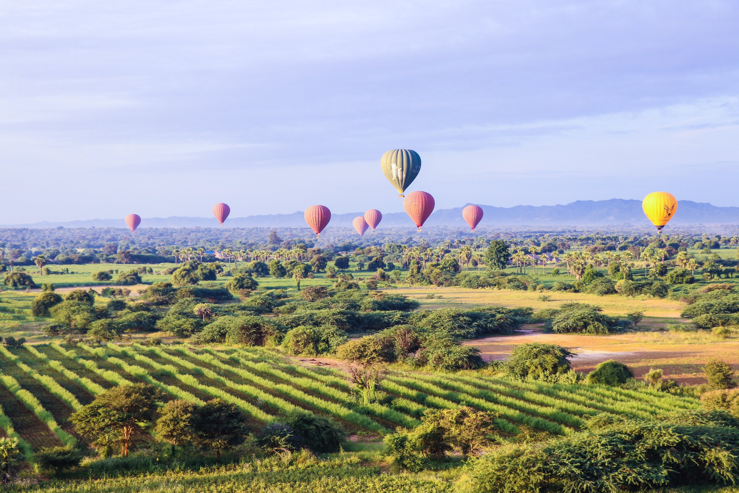Balloons over Bagan