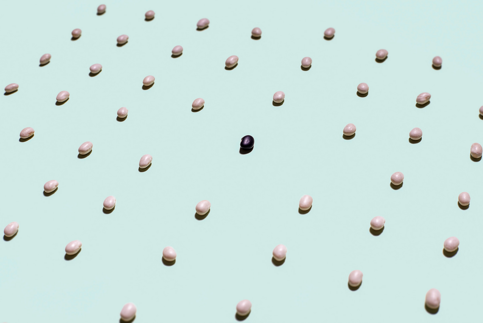 Beans.png