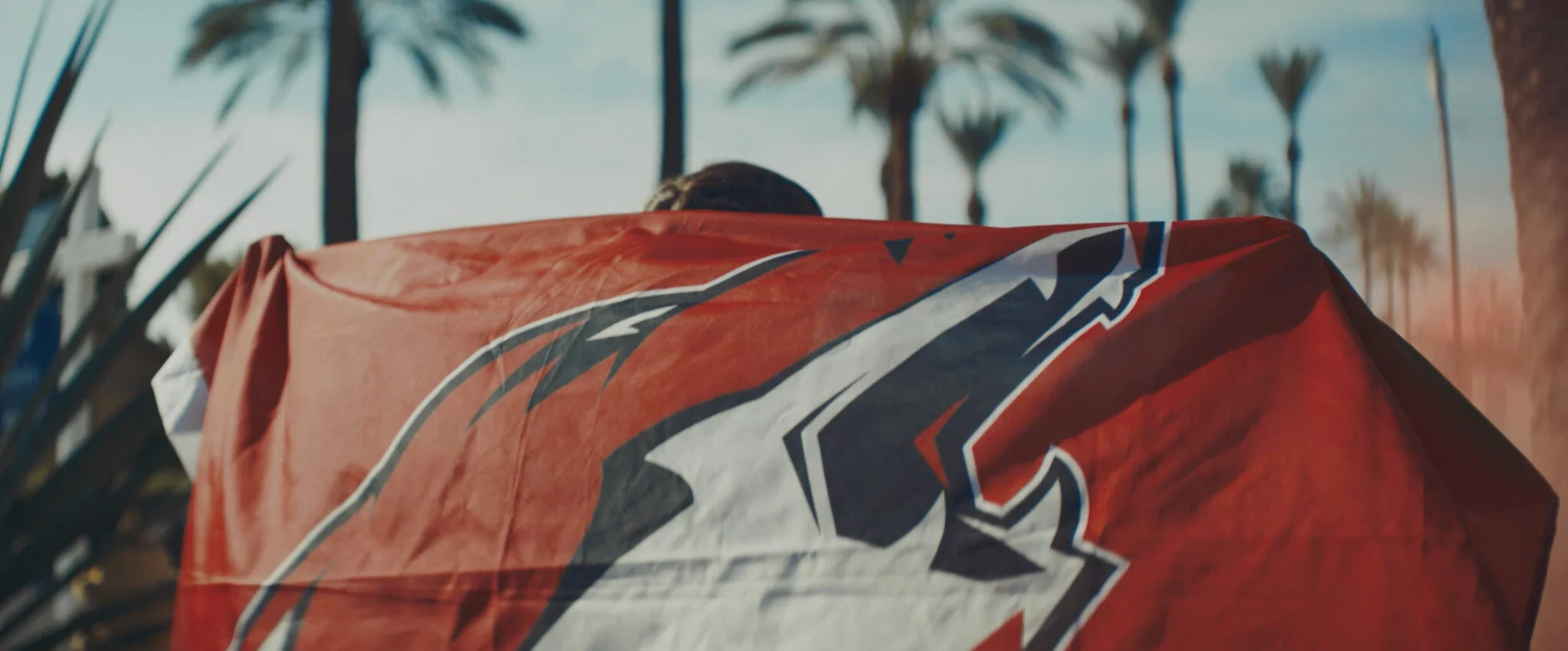 Arizona Coyotes