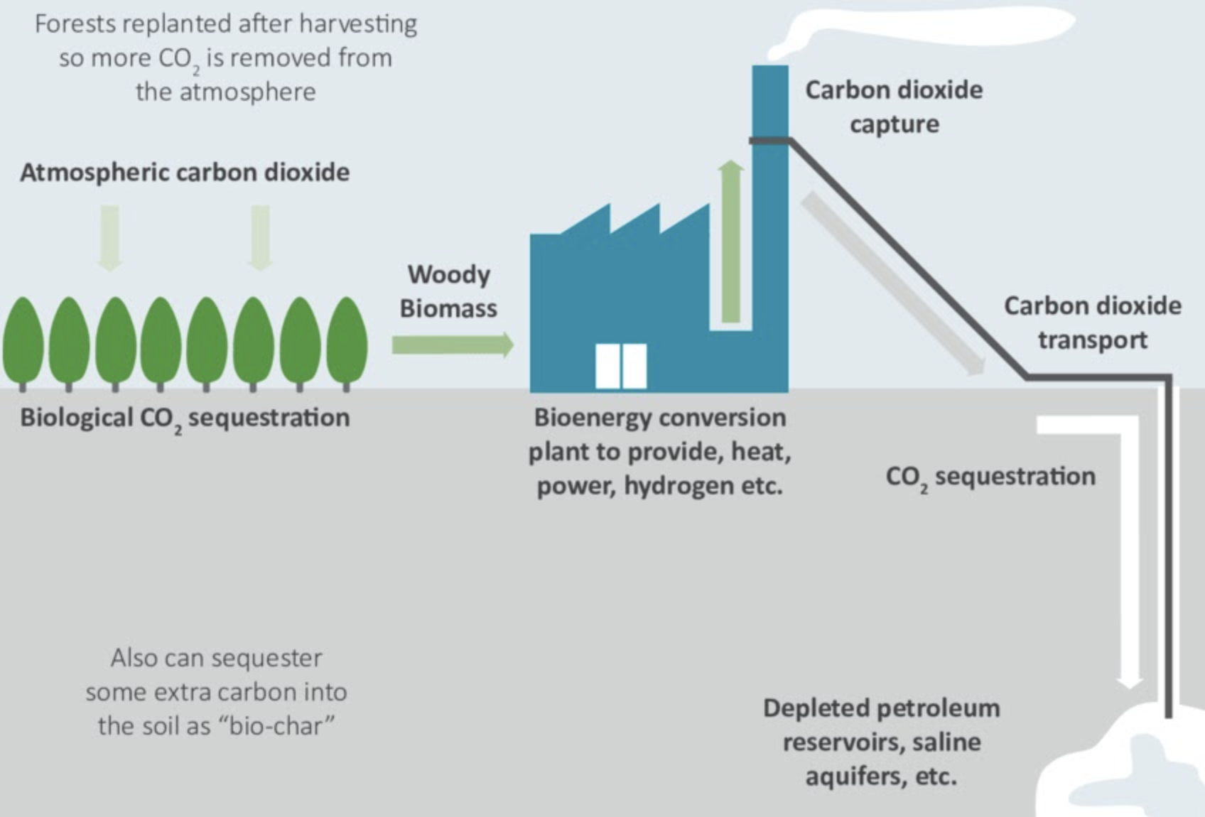 What is carbon capture and how does it fight climate change?