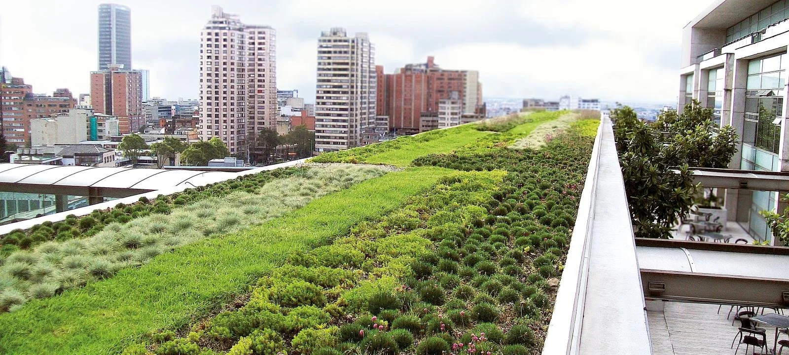 All About Green Roofs