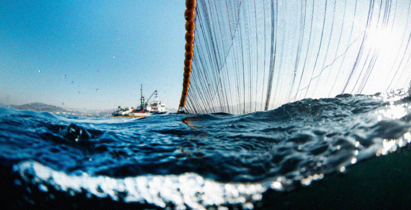 Overfishing, Conservation, Sustainability, and Farmed Fish