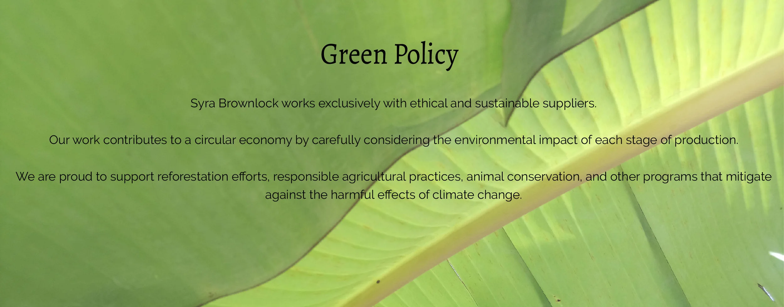 Green Policy-01.jpg