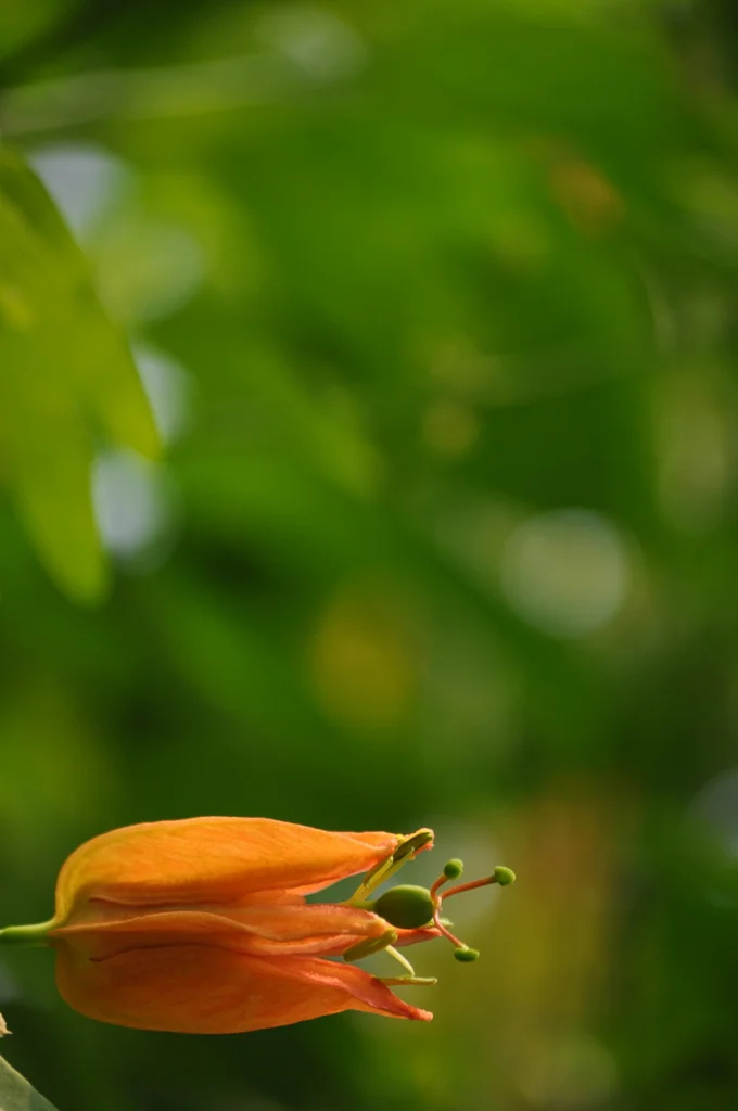 DSC_0302_1024.jpg