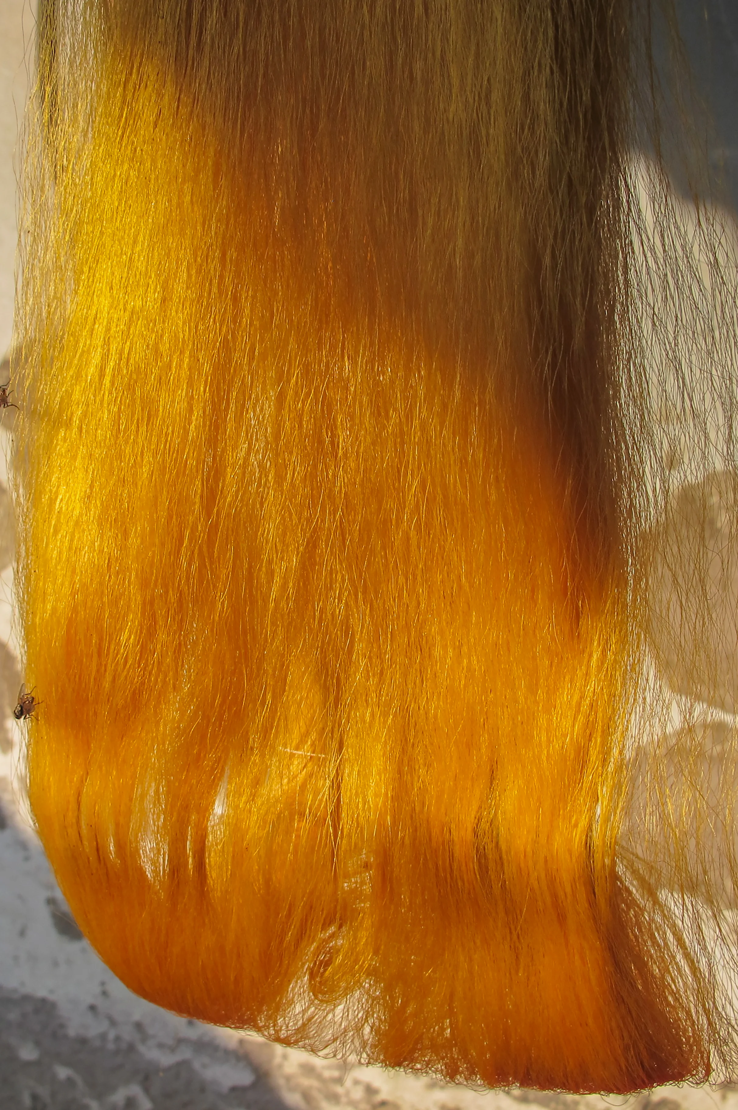 Silk_fibers,_Sopura_Silk_Mills_Limited_(01).jpg