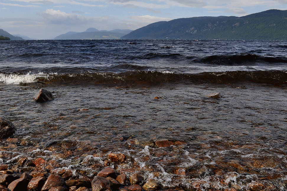 DSC_0016-ANIMATION.gif