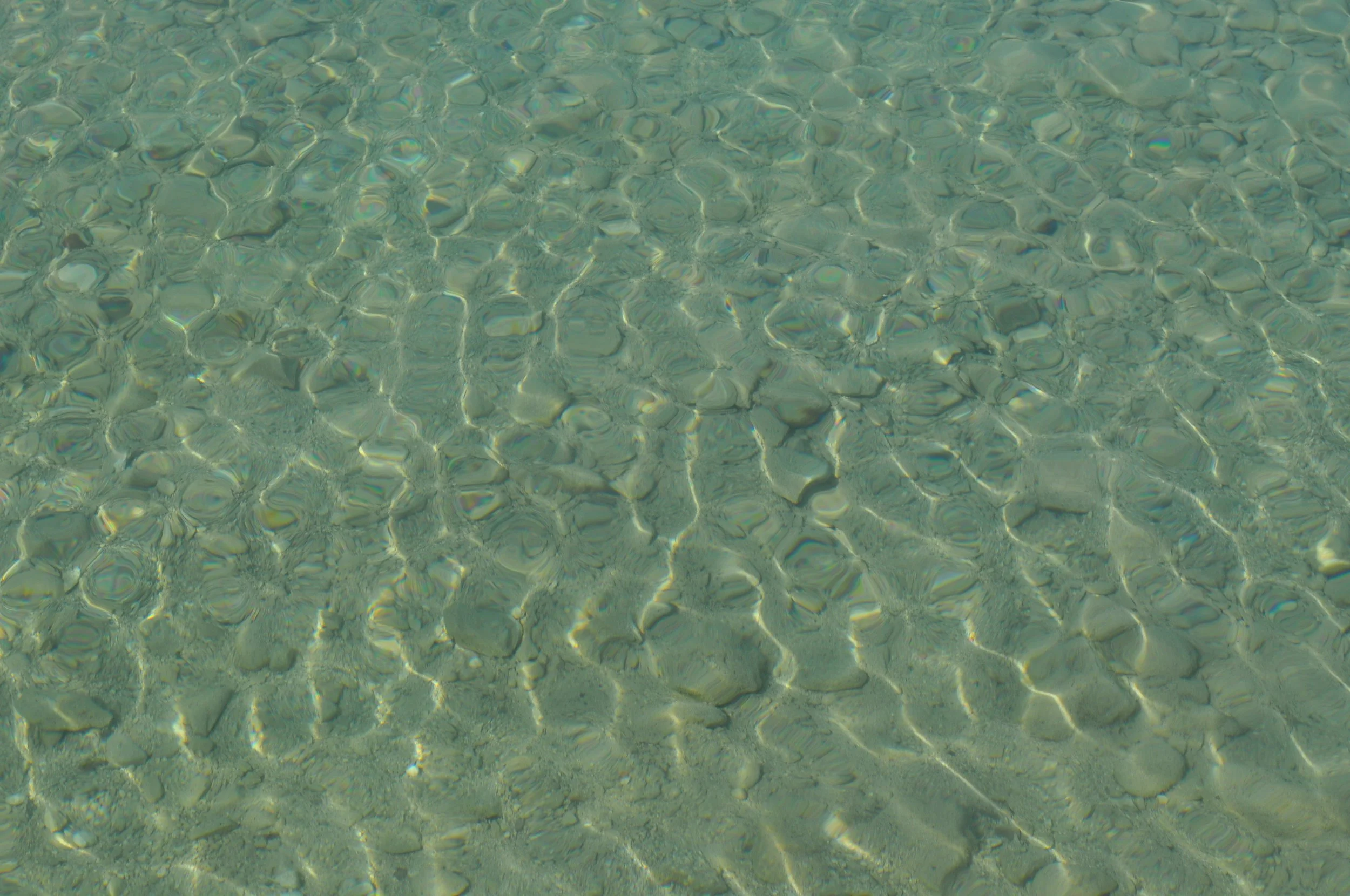 DSC_0064.jpg