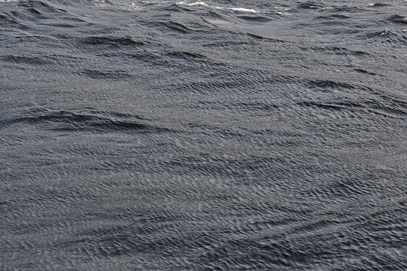 DSC_1242-ANIMATION.gif